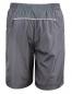 Spiro Micro Lite Team Shorts