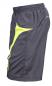 Spiro Micro Lite Team Shorts