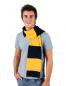 Artikelbild Team Scarf