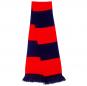 Team Scarf