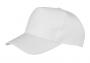 Boston 5-Panel Printers Cap