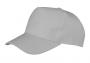 Boston 5-Panel Printers Cap