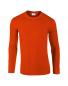 Softstyle Long Sleeve Tee