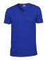 Softstyle V-Neck T-Shirt