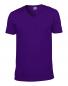Softstyle V-Neck T-Shirt