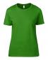 Women`s Fashion Basic Tee