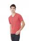 Men`s Triblend V-Neck T-Shirt