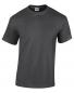 Heavy T-Shirt