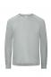 Summer Raglan Sweatshirt