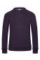 Raglan Sweatshirt