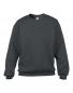 Classic Fit Crewneck Sweatshirt