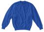 Ladies` Sweatshirt