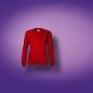 Ladies` Sweatshirt