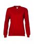 Ladies` Sweatshirt