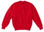 Ladies` Sweatshirt