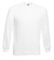 Raglan Sweatshirt