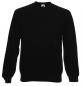 Raglan Sweatshirt