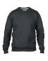 Adult Fashion Crewneck Sweat