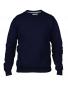 Adult Fashion Crewneck Sweat