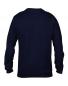 Adult Fashion Crewneck Sweat