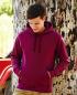 Hooded Sweat