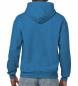 Heavy Blend Hooded Sweat