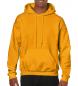 Heavy Blend Hooded Sweat