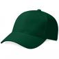 Pro-Style Heavy Brushed Cotton Cap