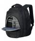 Splendid Laptop Backpack