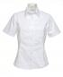 Ladies` Business Bluse