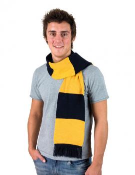 Artikelbild Team Scarf