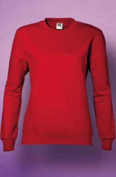 Artikelbild Ladies` Sweatshirt