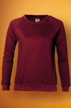 Artikelbild Ladies` Raglan Sweat