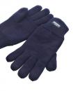 Artikelbild Fully Lined Thinsulate Gloves